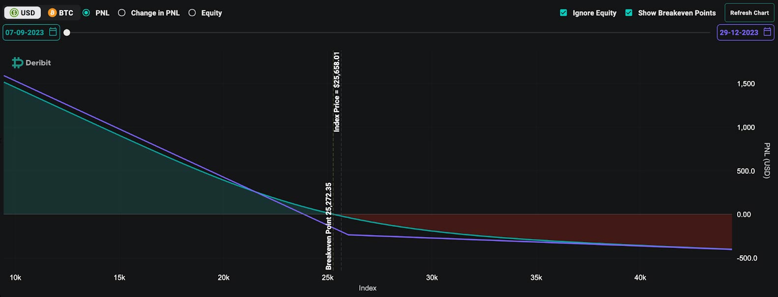 put option risk profile