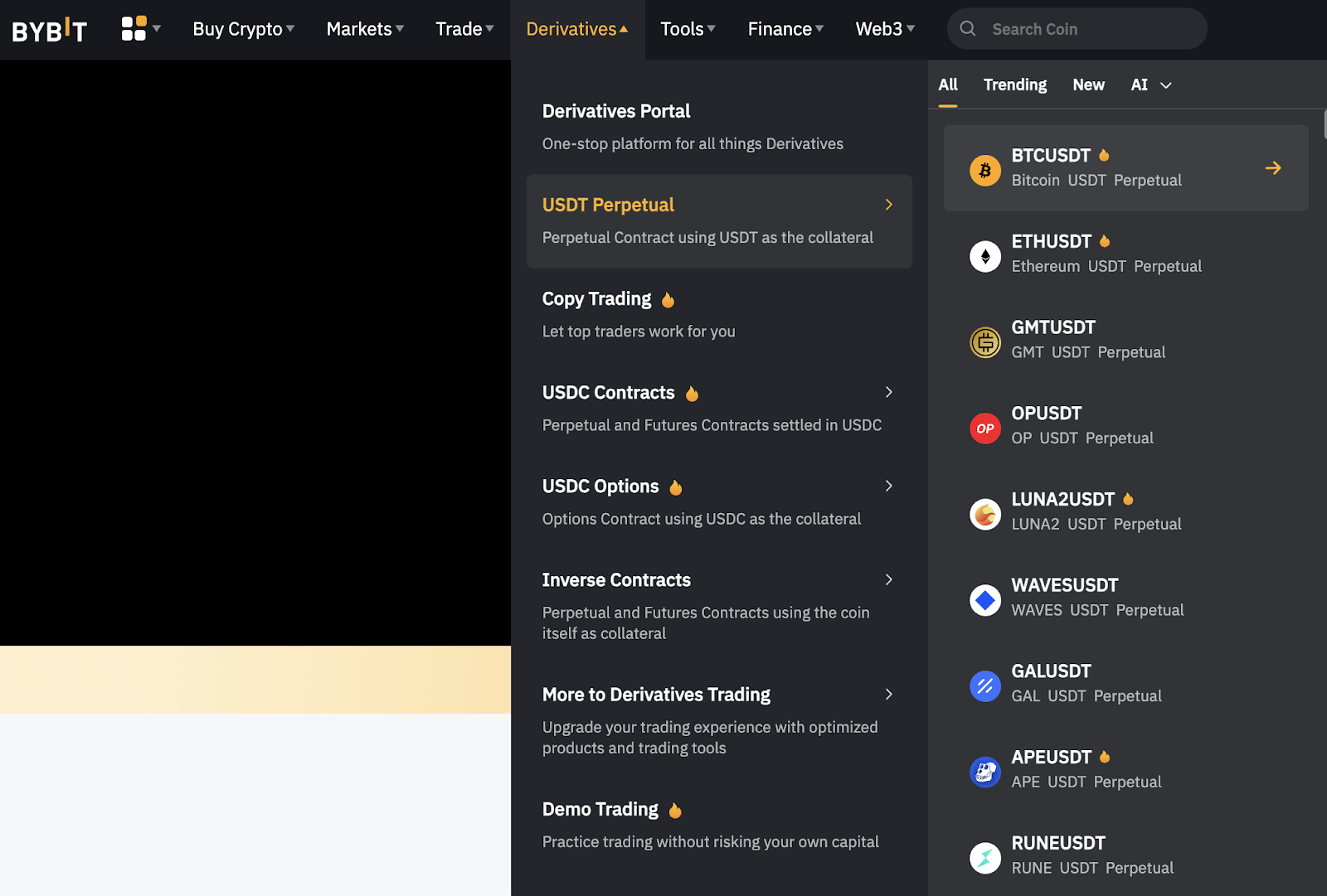 perpetual futures contract on Bybit